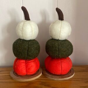 Pink Zebra Soaks Woolies pumpkins-set of 2-GUC